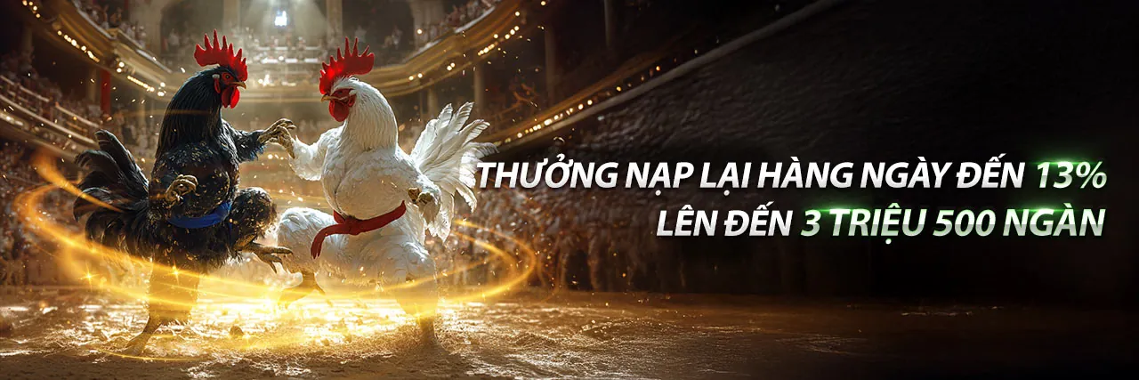 Sảnh đá gà trực tuyến sôi động tại 36win link vào